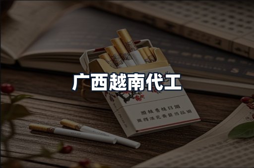 广西越南代工